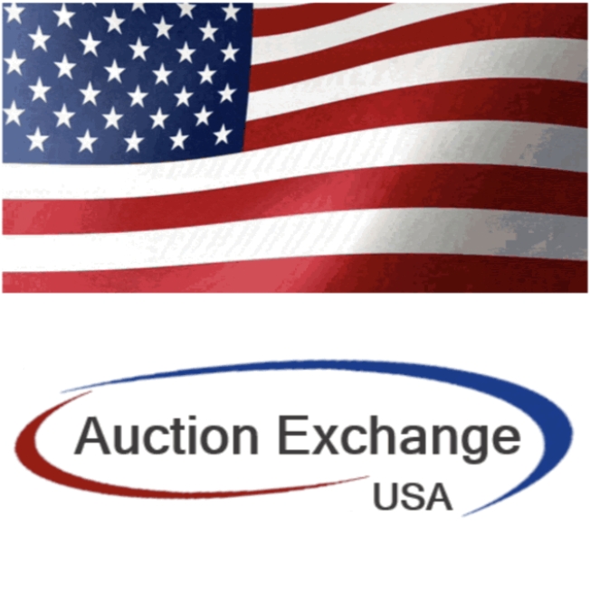 Auction Exchange USA LLC